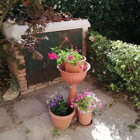 Bb Smallville Bed & Breakfast *