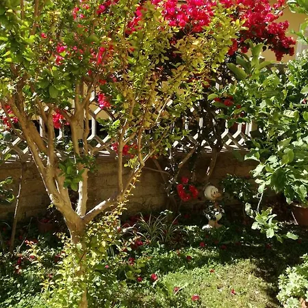 Oda ve Kahvaltı Bb Smallville 3*