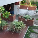 小轩住宿加早餐旅馆 菲乌米奇诺