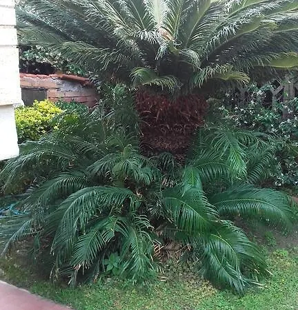 Frühstückspension Bb Smallville 3*